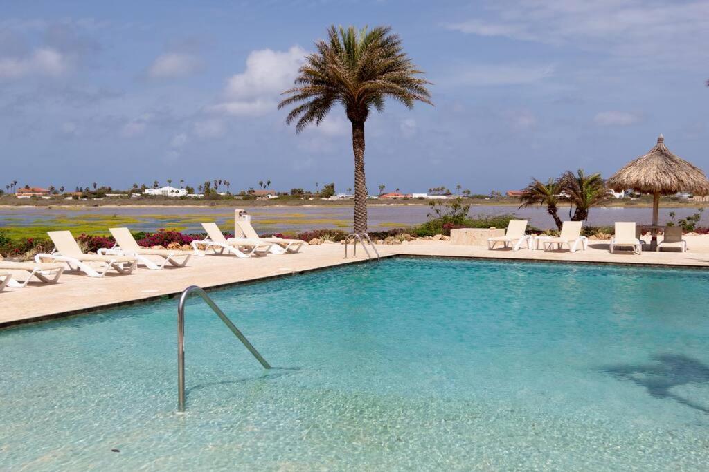 New! Cozy 1 Bedroom Condo- Gold Coast, Noord ARUBA Palm Beach Buitenkant foto