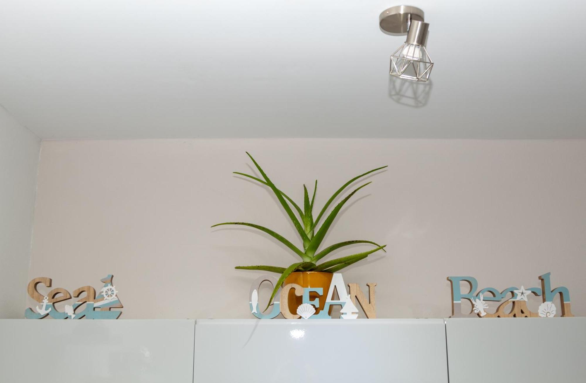 New! Cozy 1 Bedroom Condo- Gold Coast, Noord ARUBA Palm Beach Buitenkant foto